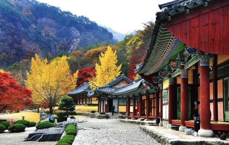 Chùa Bulguksa Hàn Quốc - Địa điểm nổi tiếng ở Hàn Quốc đáng để đi du lịch